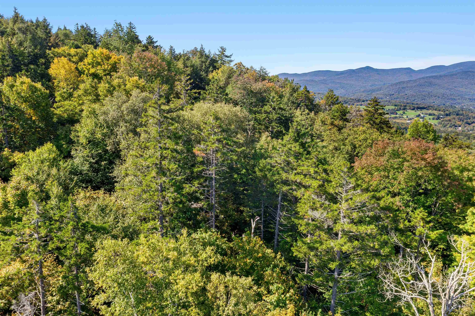 0 Pinnacle Meadow Road Stowe VT 05672