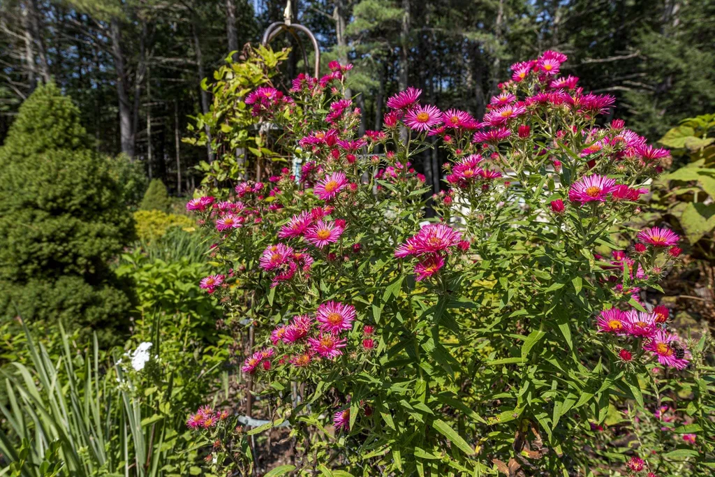 198 Whittemore Point Road S Bridgewater NH 03222