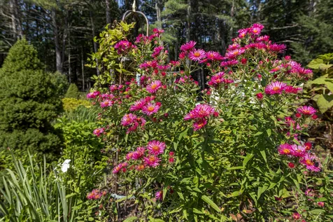 198 Whittemore Point Road S Bridgewater NH 03222