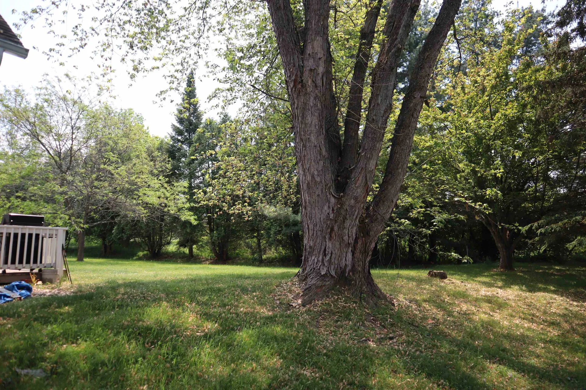 287 Eastview Circle Williston VT 05495