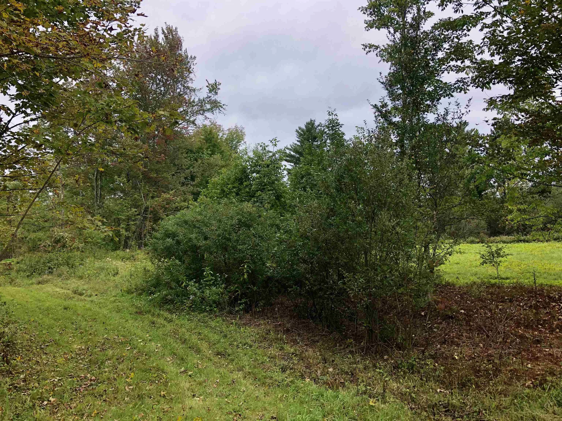 1990 Cooper Hill Road Eden VT 05652