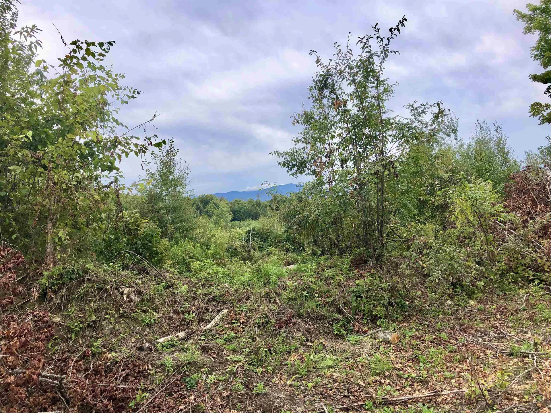 1990 Cooper Hill Road Eden VT 05652