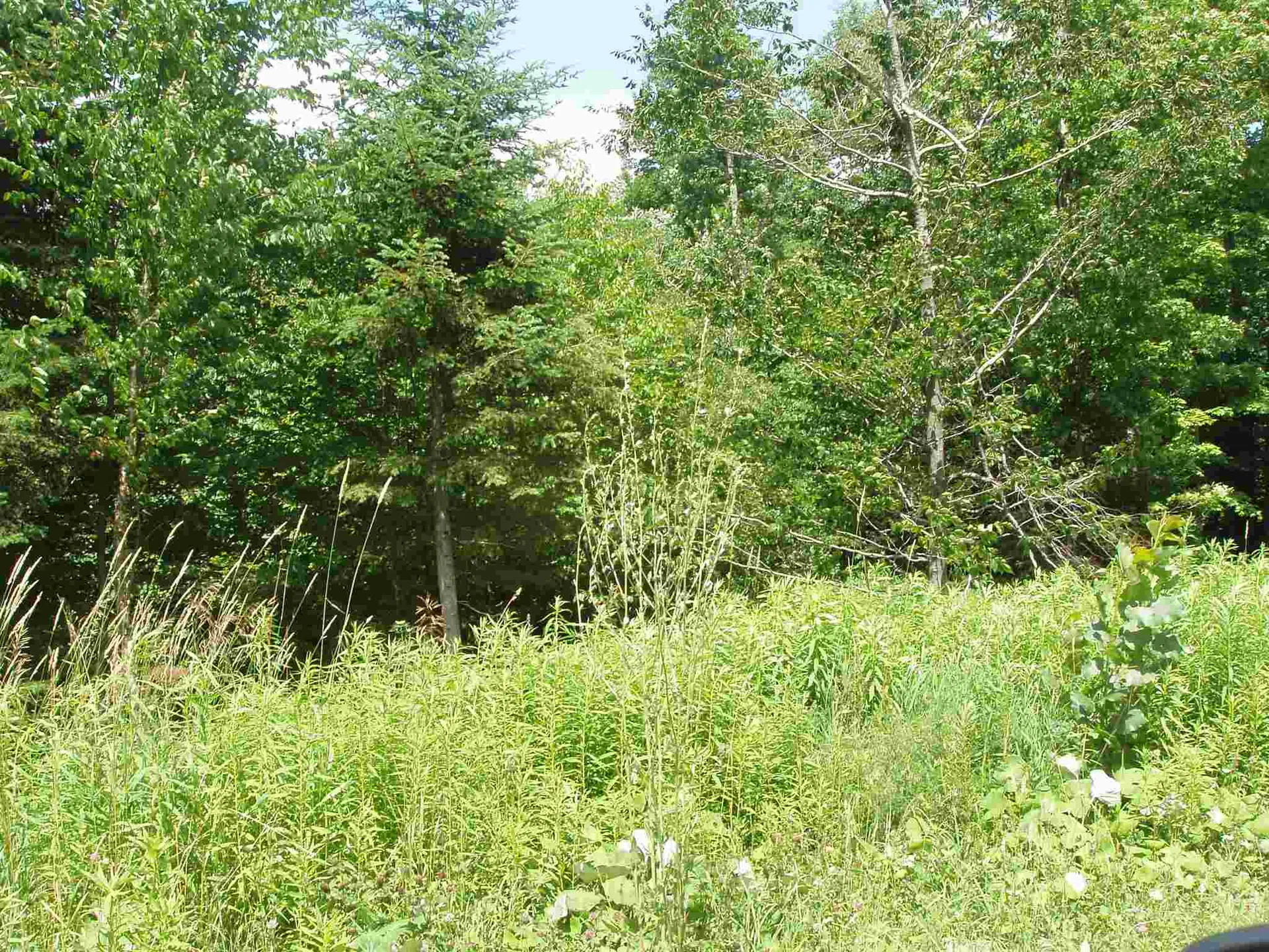 41 Moose Hollow Road Winhall VT 05340