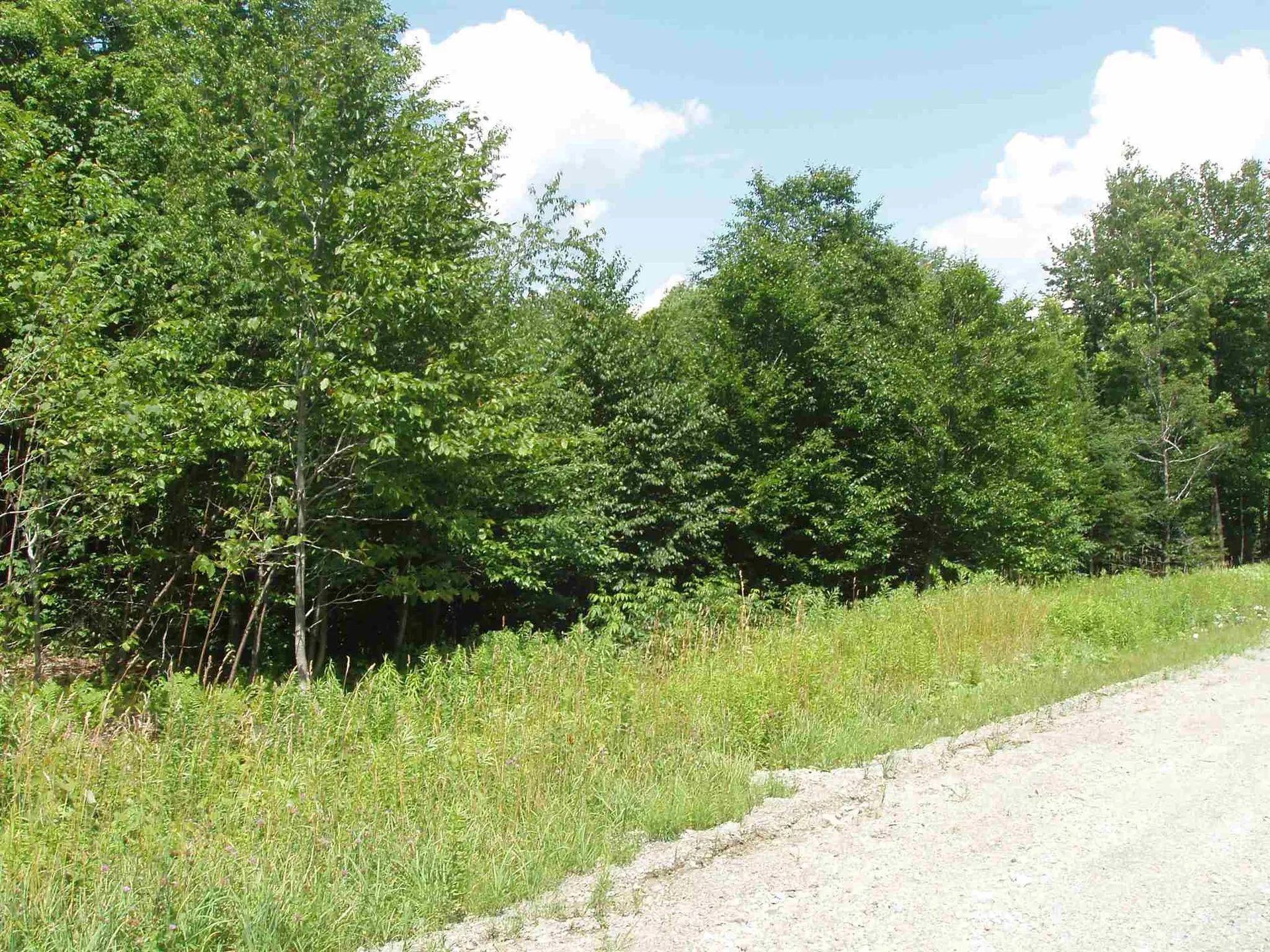 41 Moose Hollow Road Winhall VT 05340