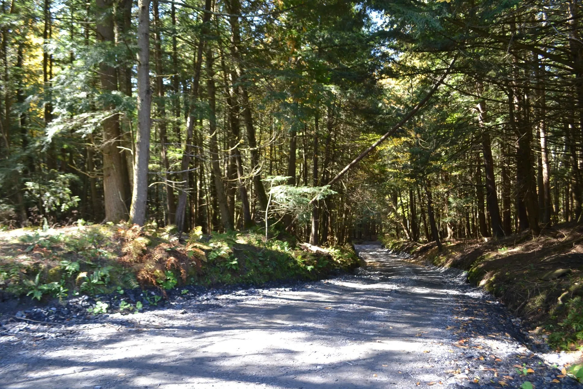 0 Belknap Road Berlin VT 05602