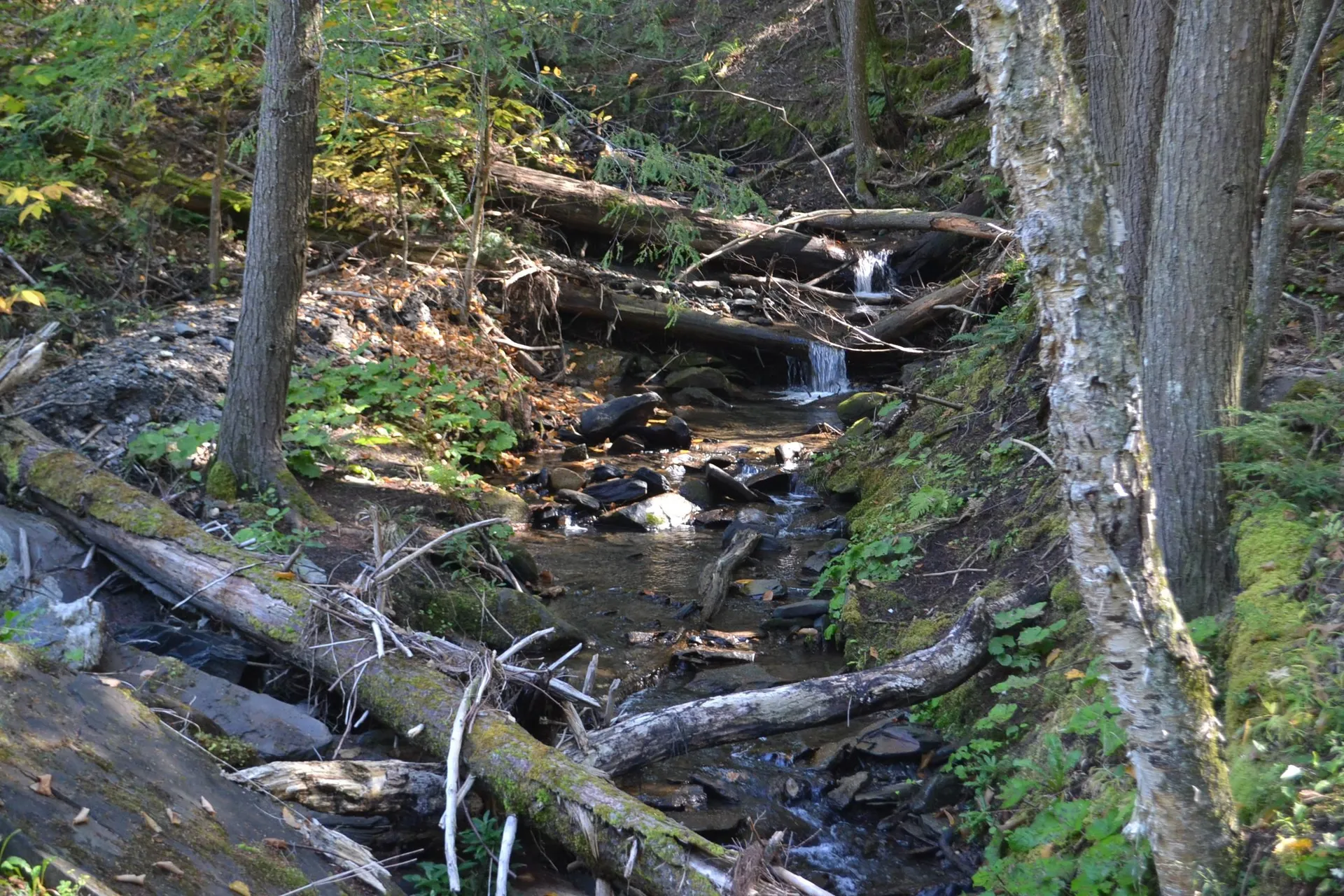 0 Belknap Road Berlin VT 05602