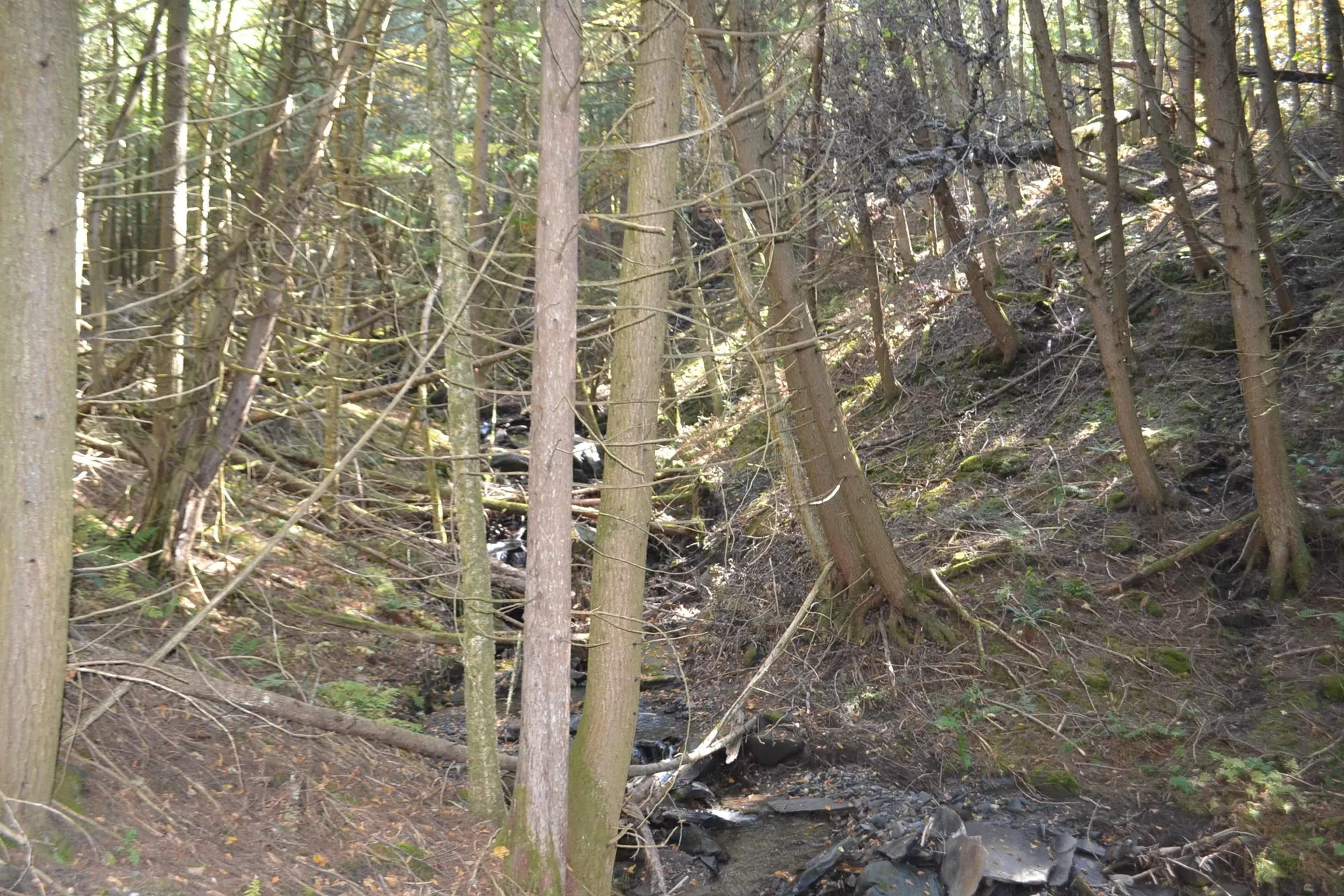 0 Belknap Road Berlin VT 05602