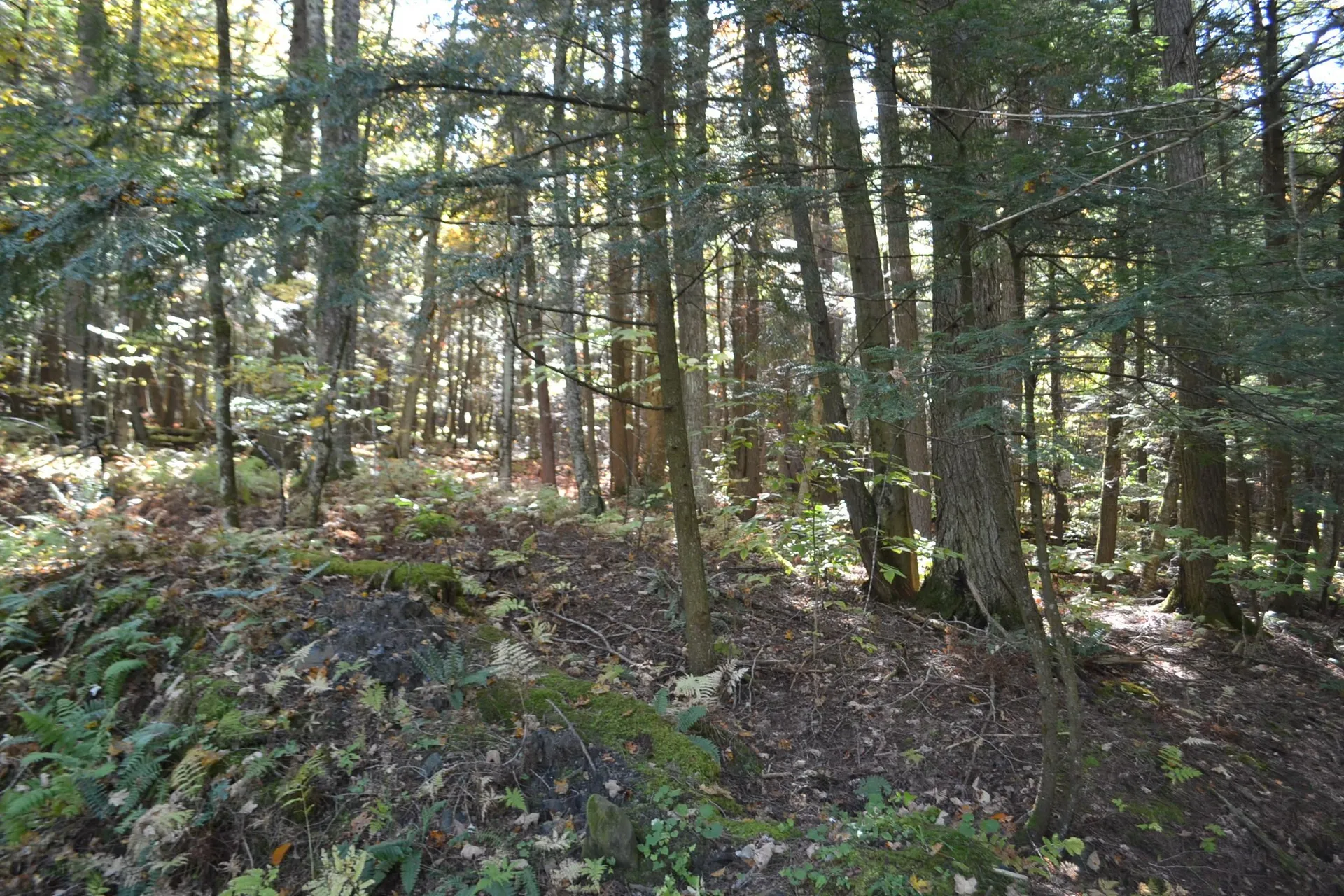 0 Belknap Road Berlin VT 05602