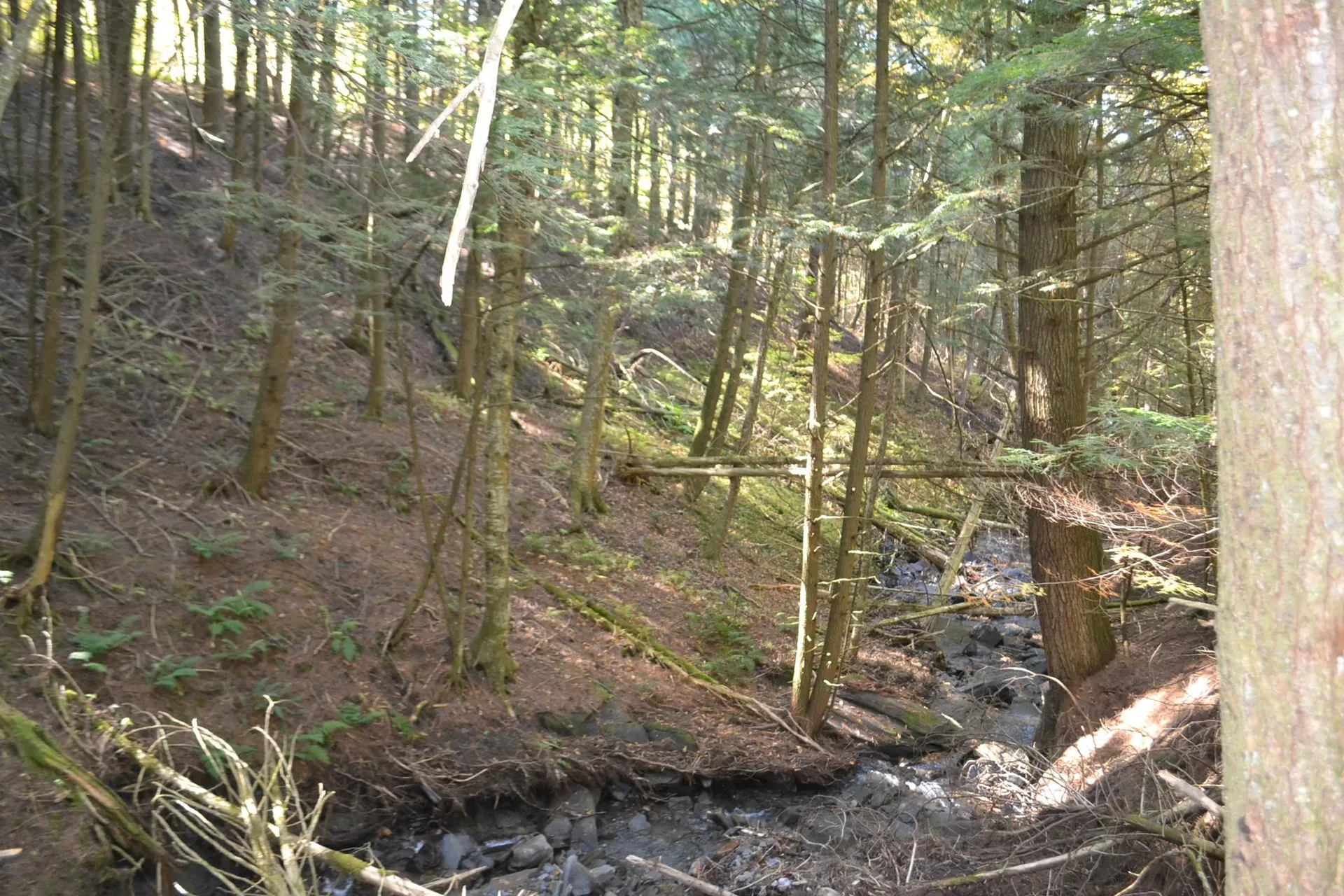 0 Belknap Road Berlin VT 05602
