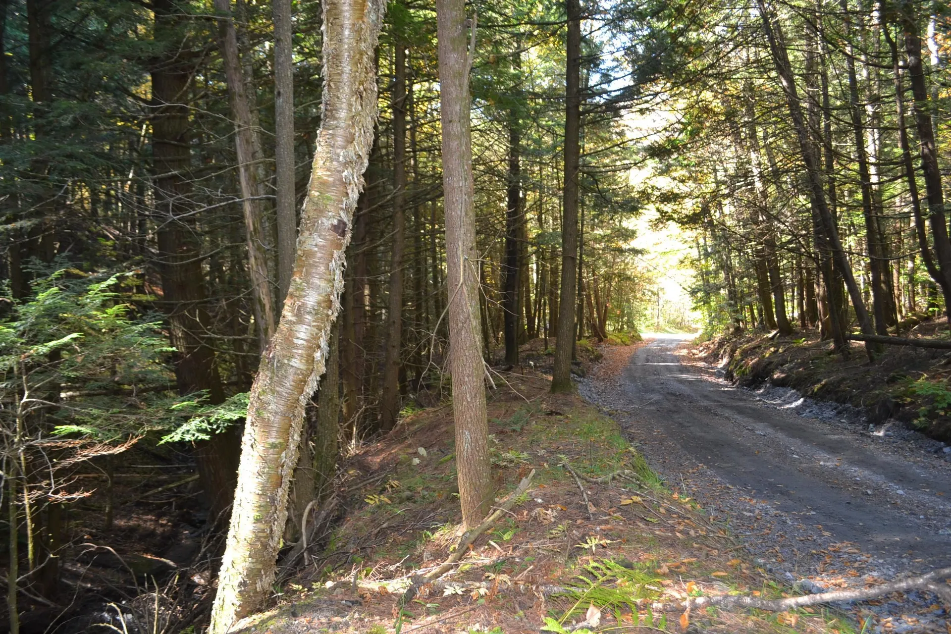 0 Belknap Road Berlin VT 05602