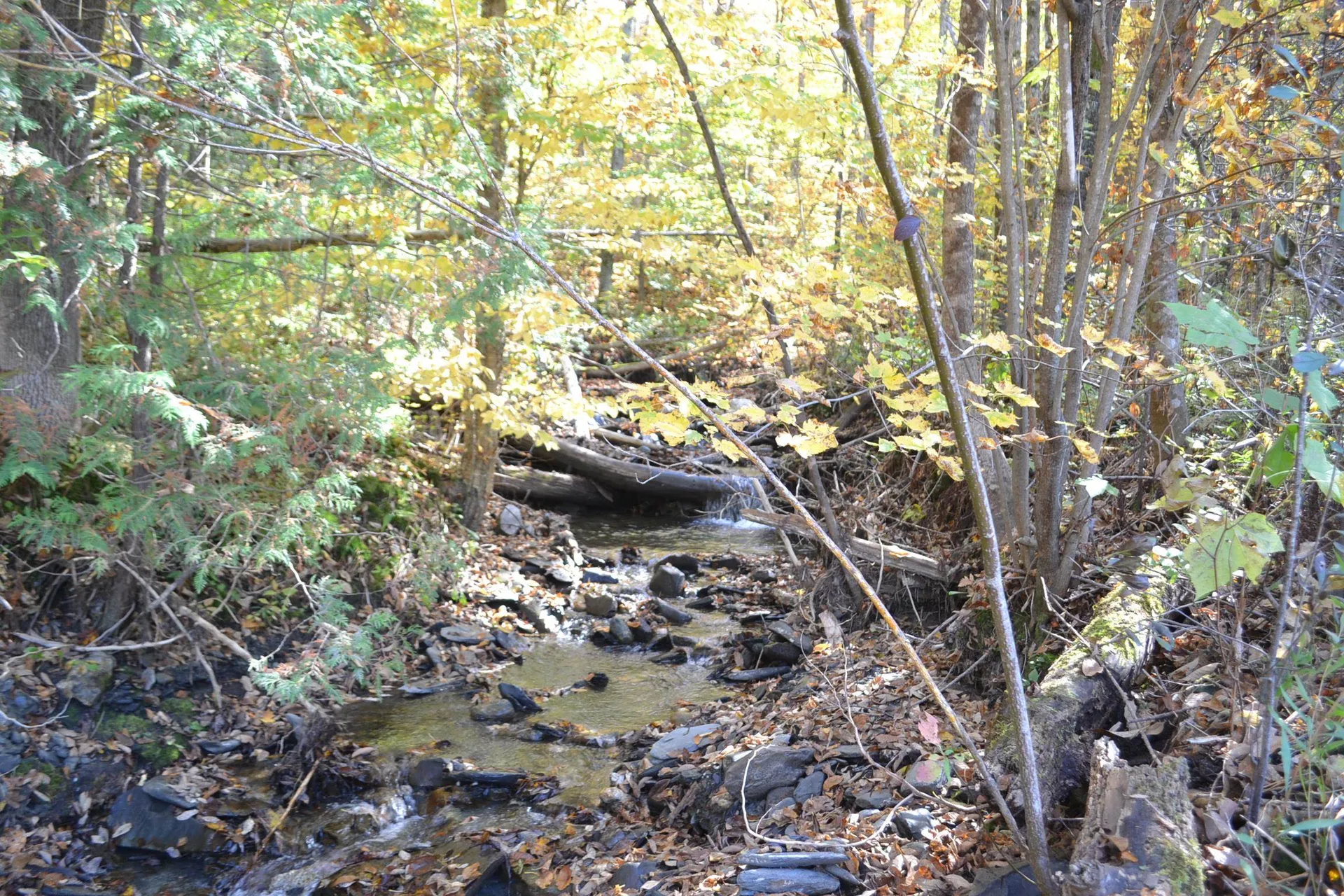 0 Belknap Road Berlin VT 05602