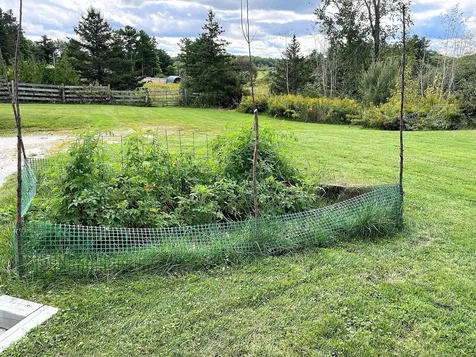 5476 Dorset Street Shelburne VT 05482