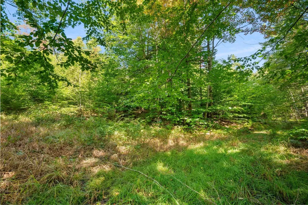 905 South Hill Road Stockbridge VT 05772