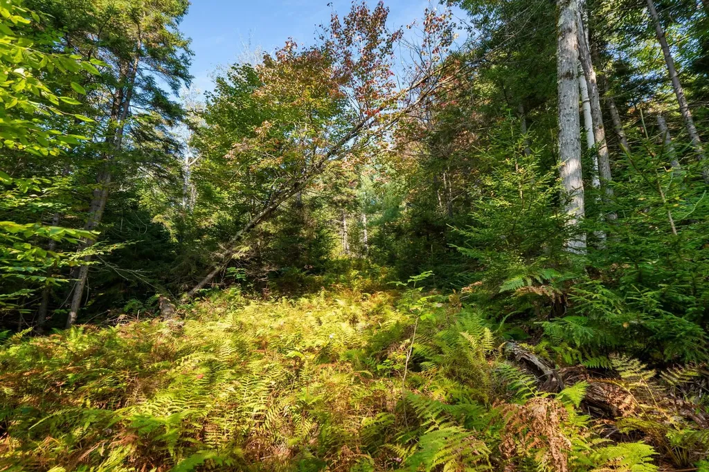 905 South Hill Road Stockbridge VT 05772