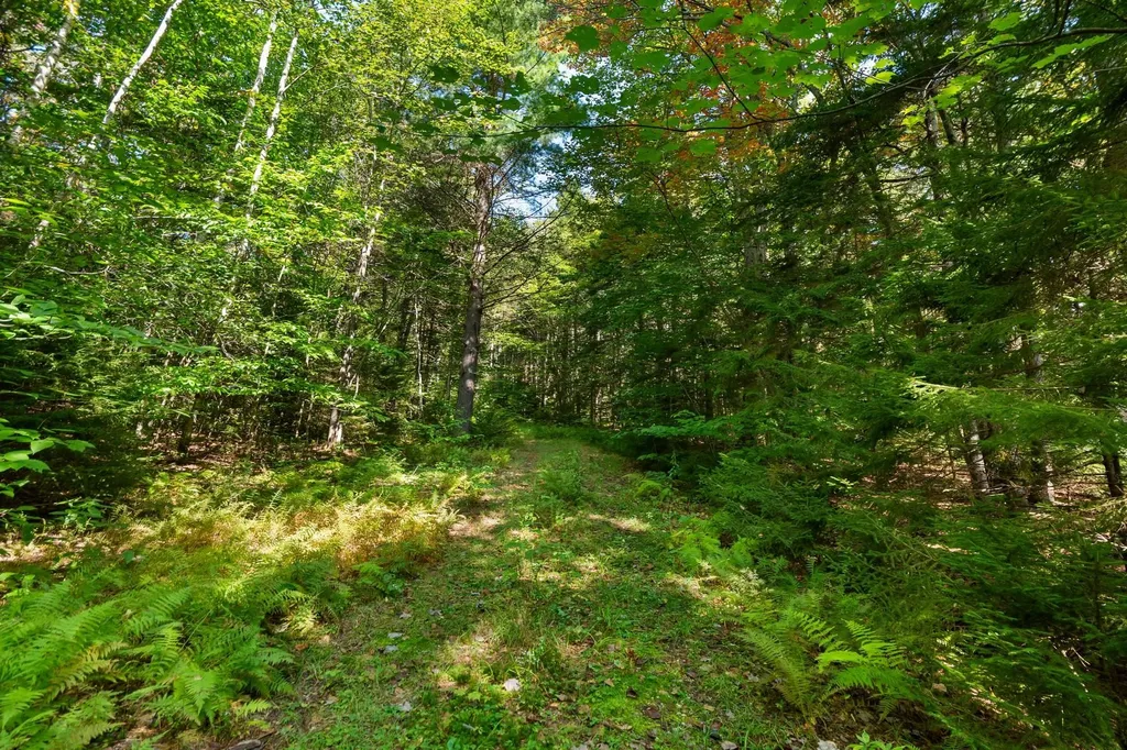 905 South Hill Road Stockbridge VT 05772