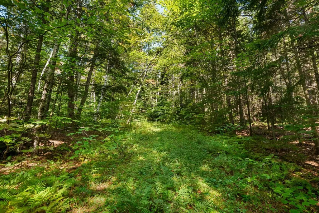 905 South Hill Road Stockbridge VT 05772