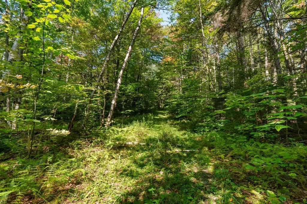 905 South Hill Road Stockbridge VT 05772