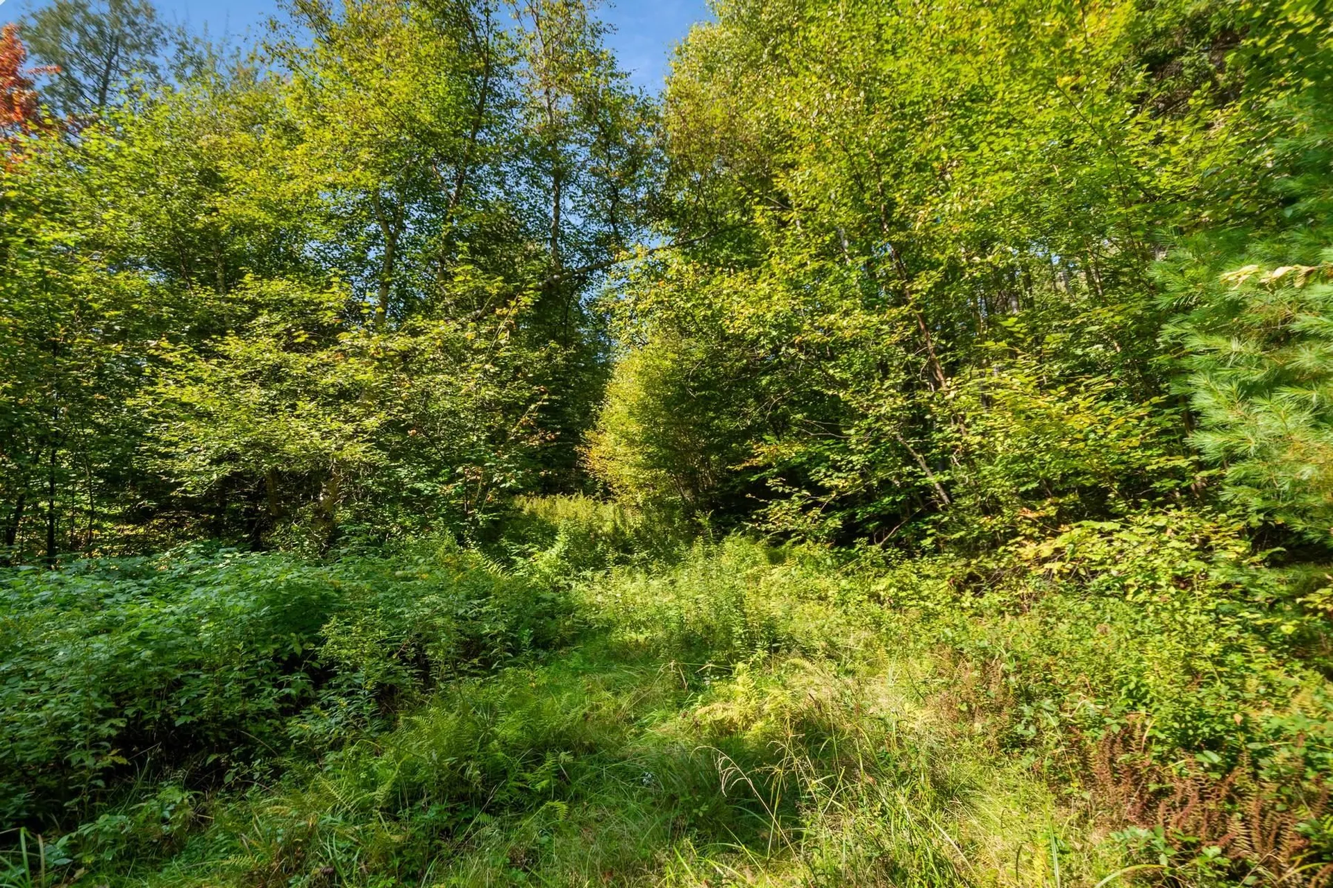 905 South Hill Road Stockbridge VT 05772
