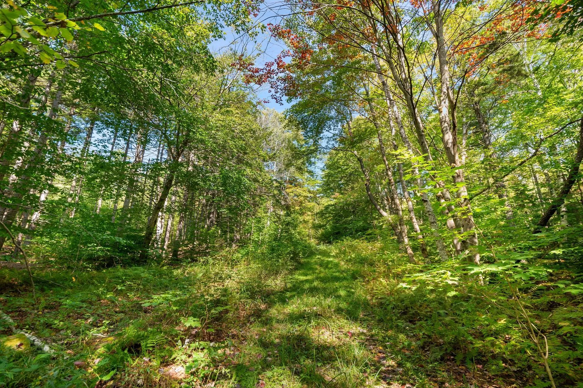 905 South Hill Road Stockbridge VT 05772