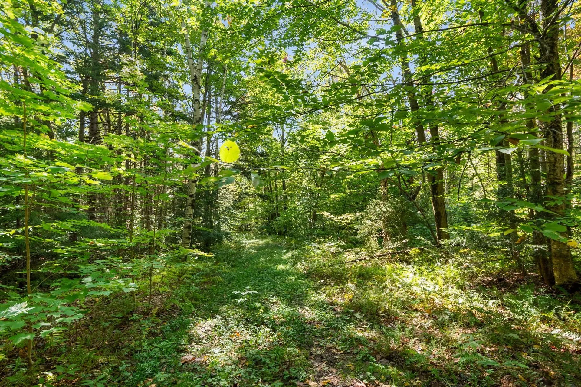 905 South Hill Road Stockbridge VT 05772