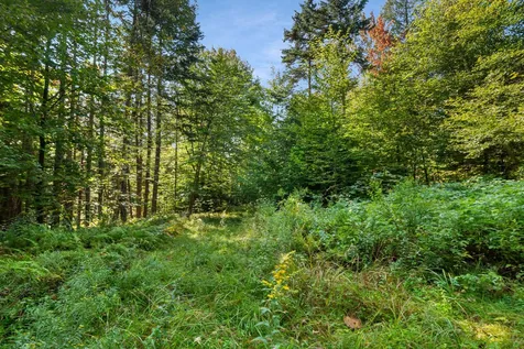 905 South Hill Road Stockbridge VT 05772