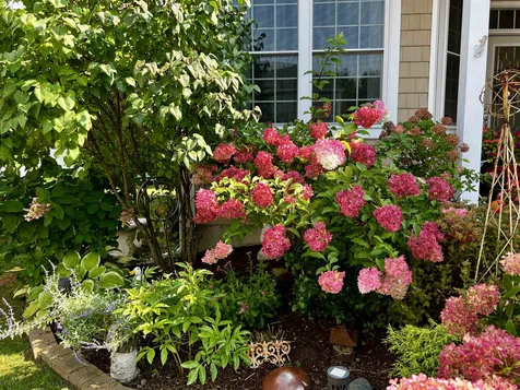 24 Clifford Drive Milton VT 05468
