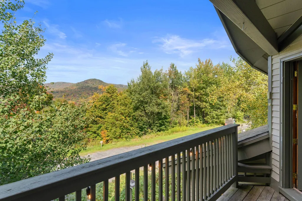 115 Bear Run Road Bolton VT 05477