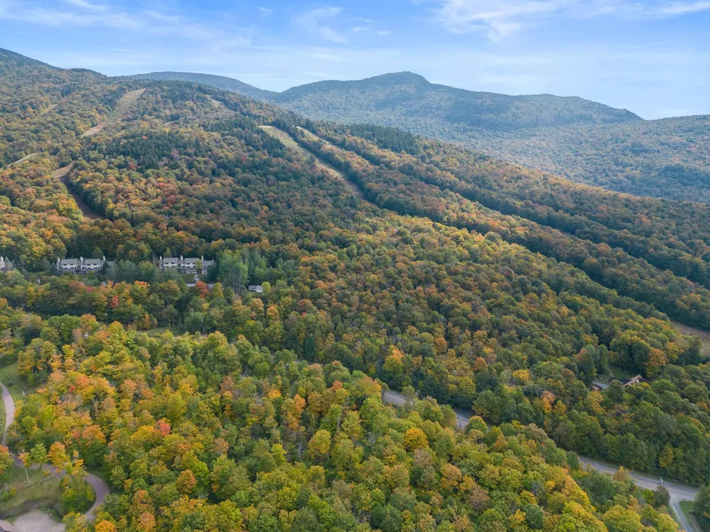 115 Bear Run Road Bolton VT 05477
