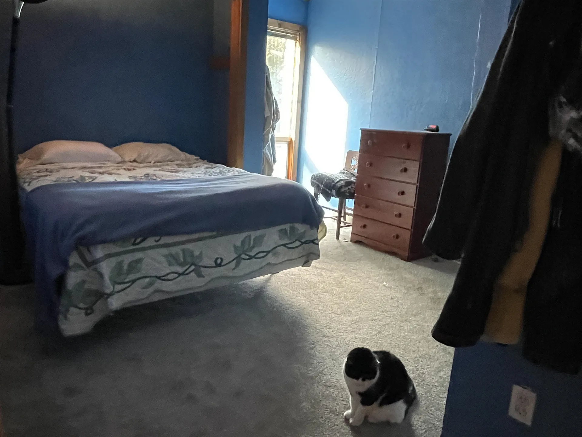 298 Carroll Road Fayston VT 05673