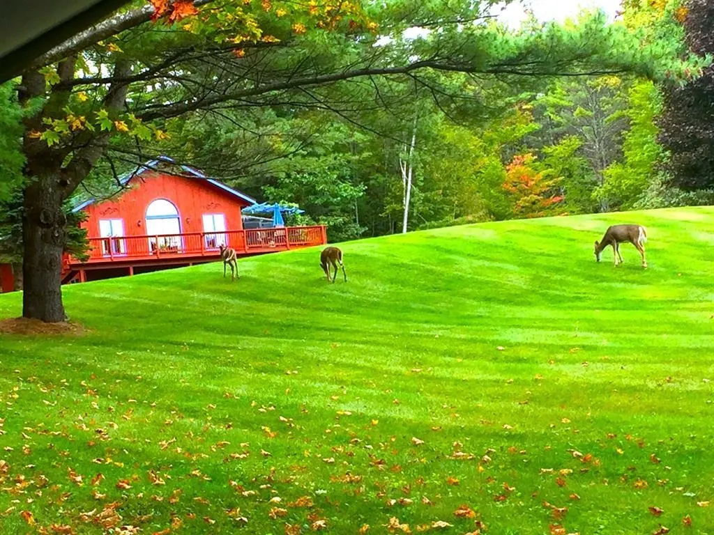 101 Labbie Lane Hartford VT 05001