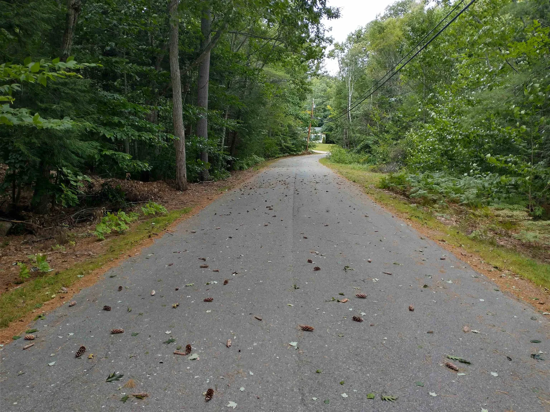 Lot 38 Tanglewood Drive Middleton NH 03887