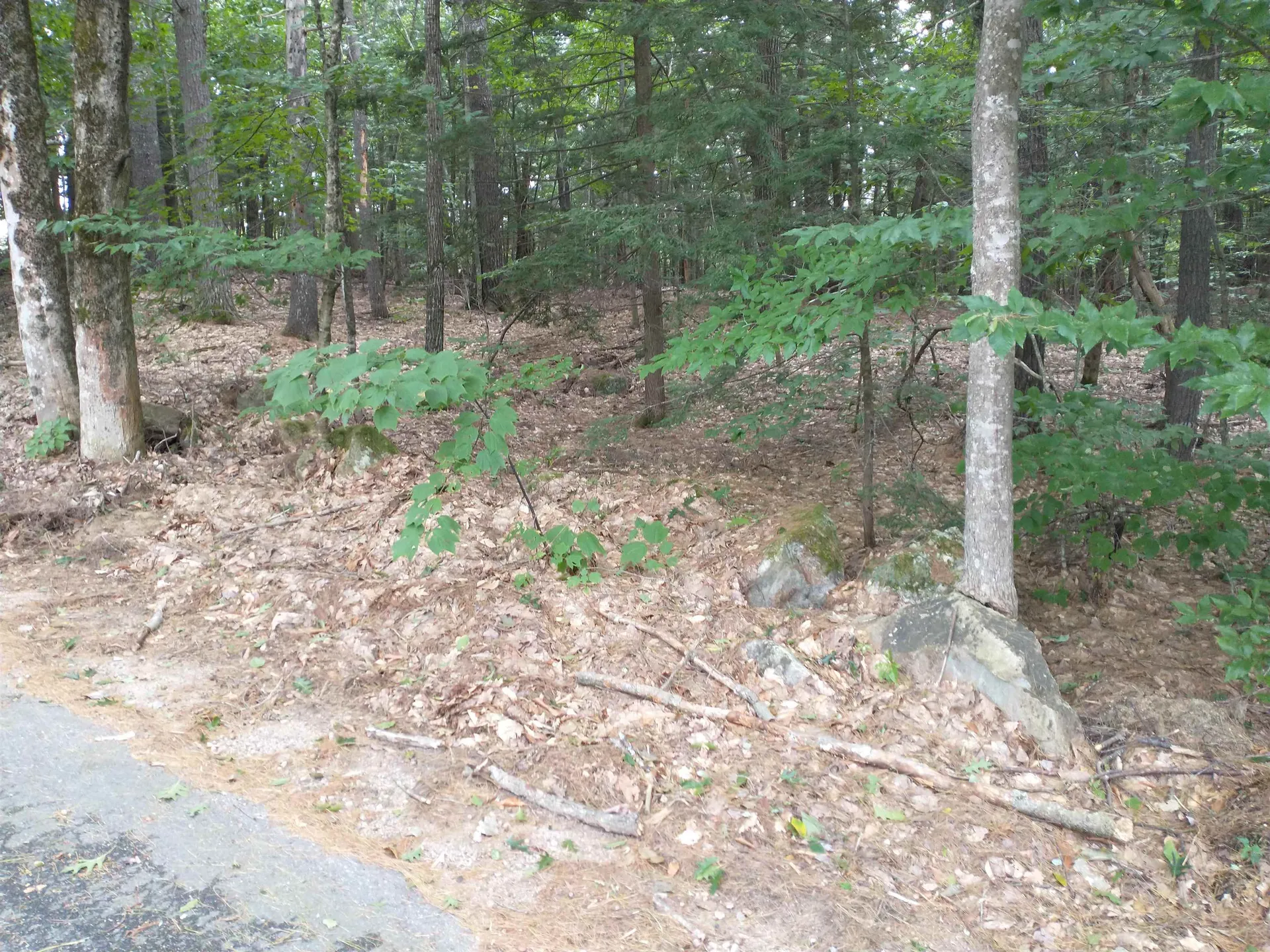 Lot 38 Tanglewood Drive Middleton NH 03887