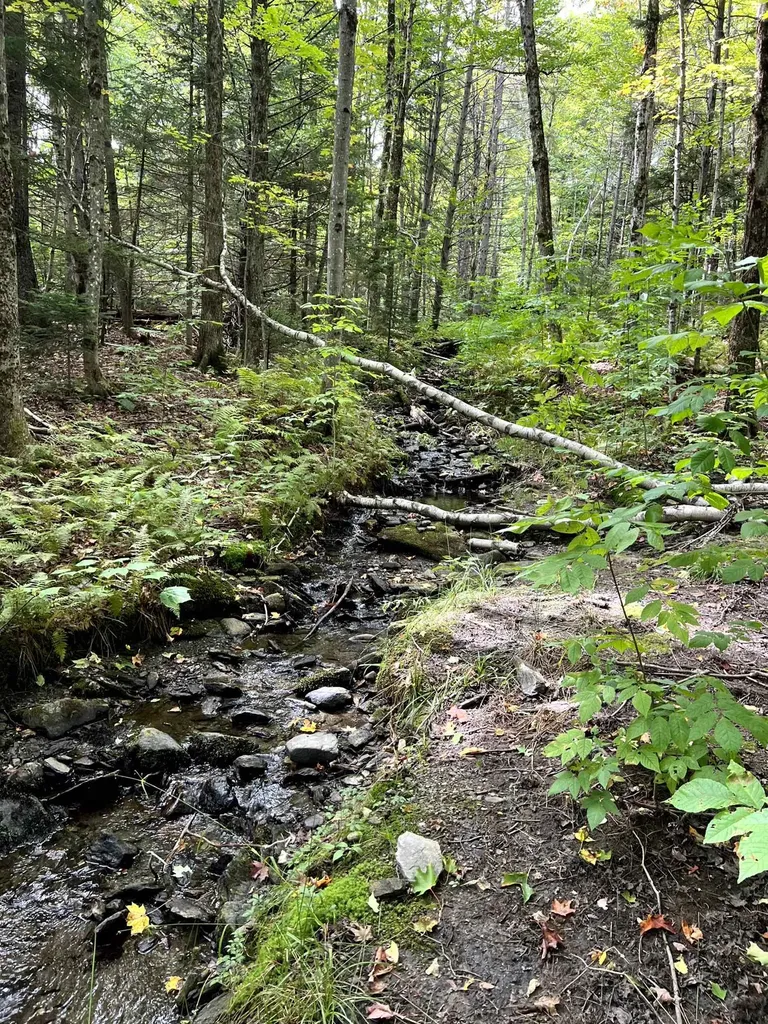 - Westover Road Jay VT 05859