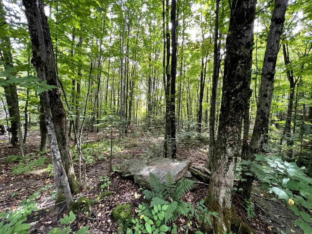 - Westover Road Jay VT 05859