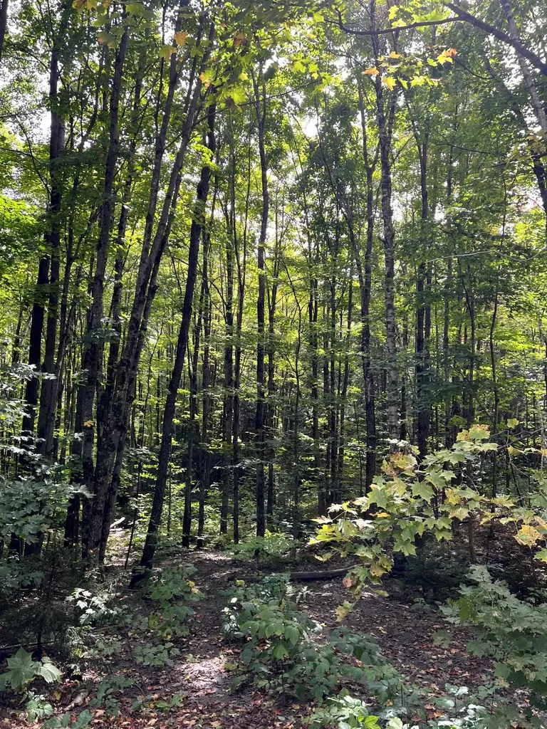 - Westover Road Jay VT 05859