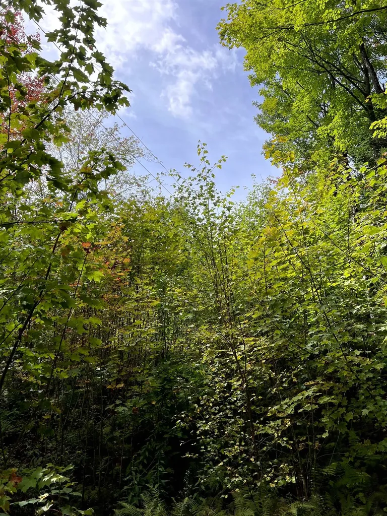 - Westover Road Jay VT 05859