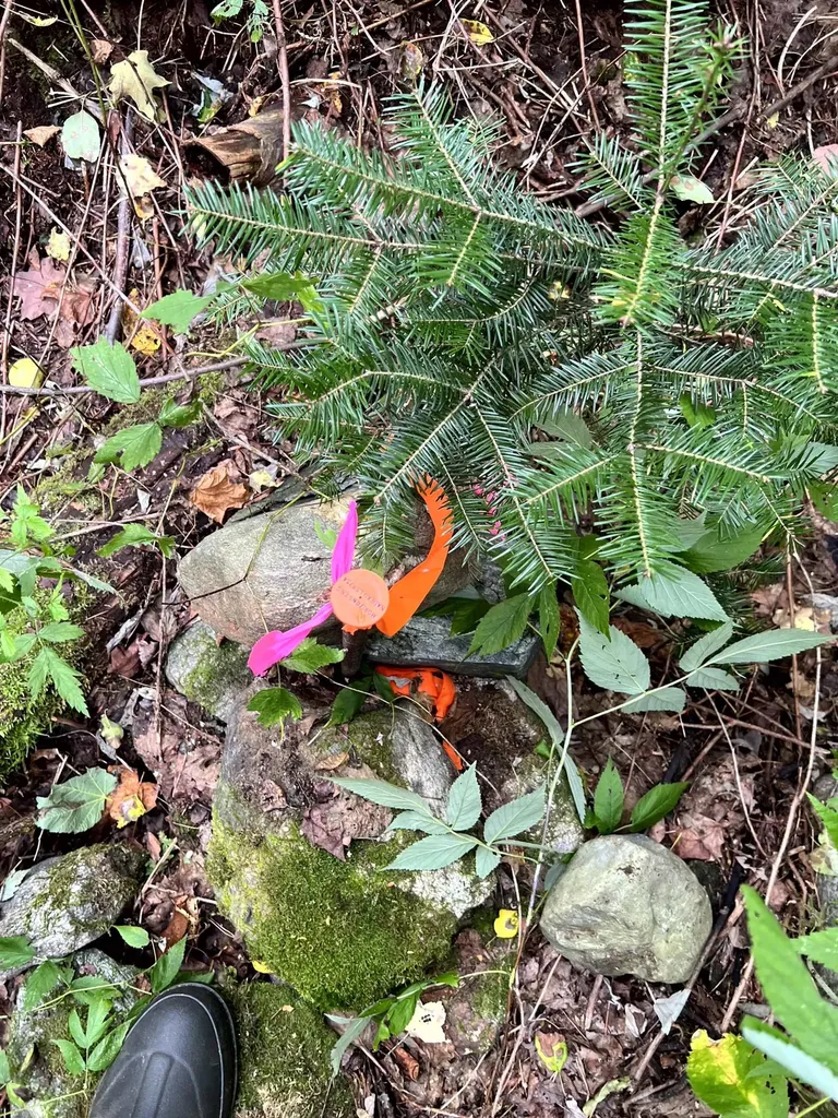 - Westover Road Jay VT 05859