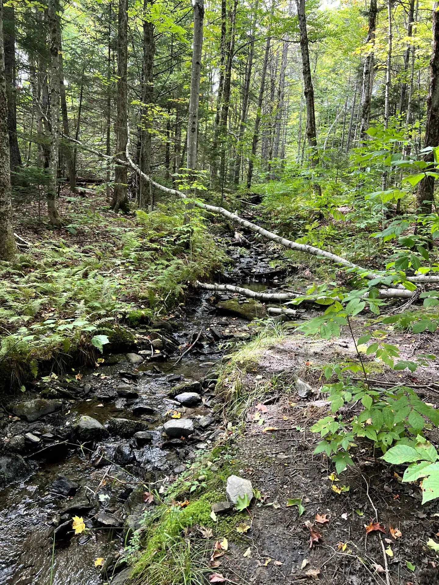 - Westover Road Jay VT 05859