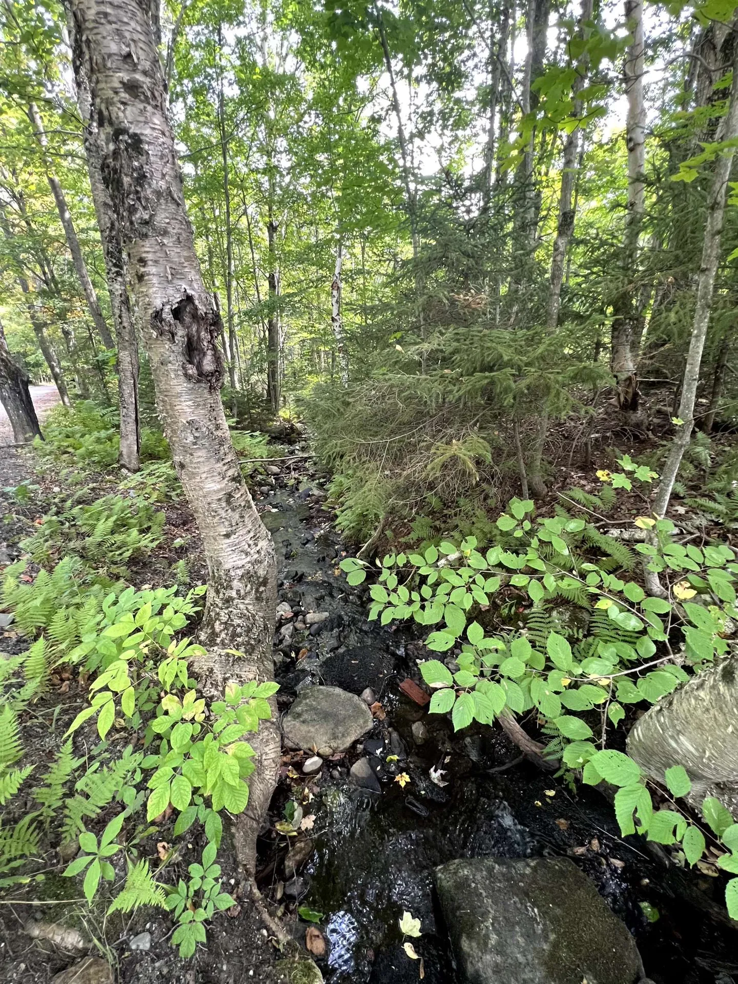 - Westover Road Jay VT 05859