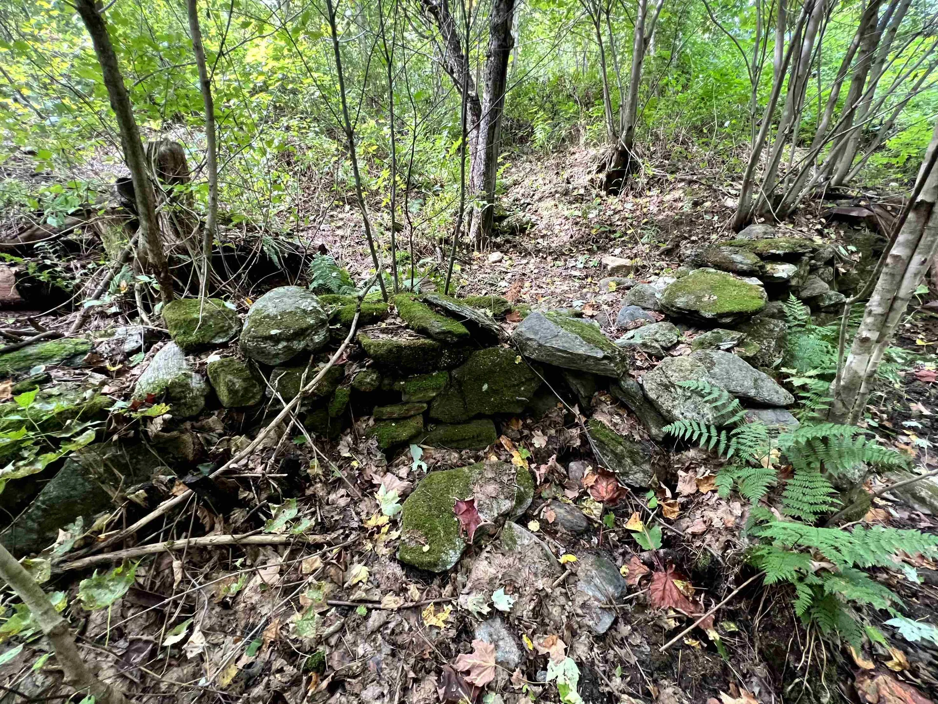 - Westover Road Jay VT 05859