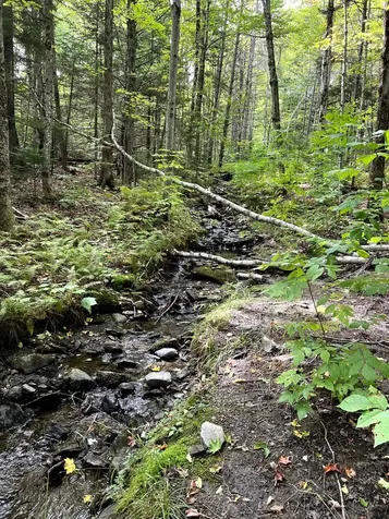 - Westover Road Jay VT 05859