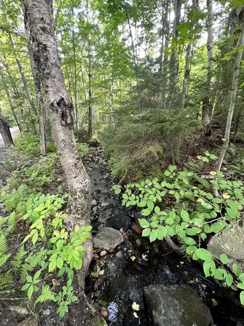 - Westover Road Jay VT 05859