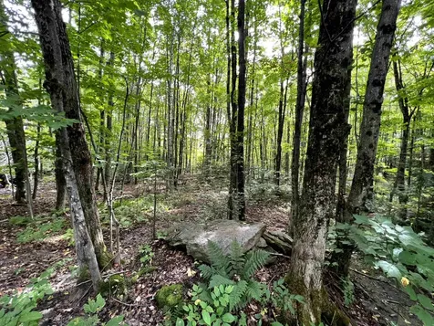 - Westover Road Jay VT 05859