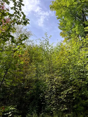 - Westover Road Jay VT 05859