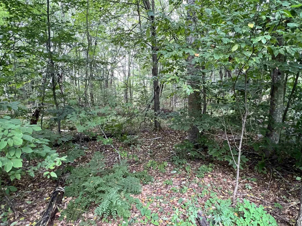 Lot 138 Deer Meadow Road Webster NH 03303
