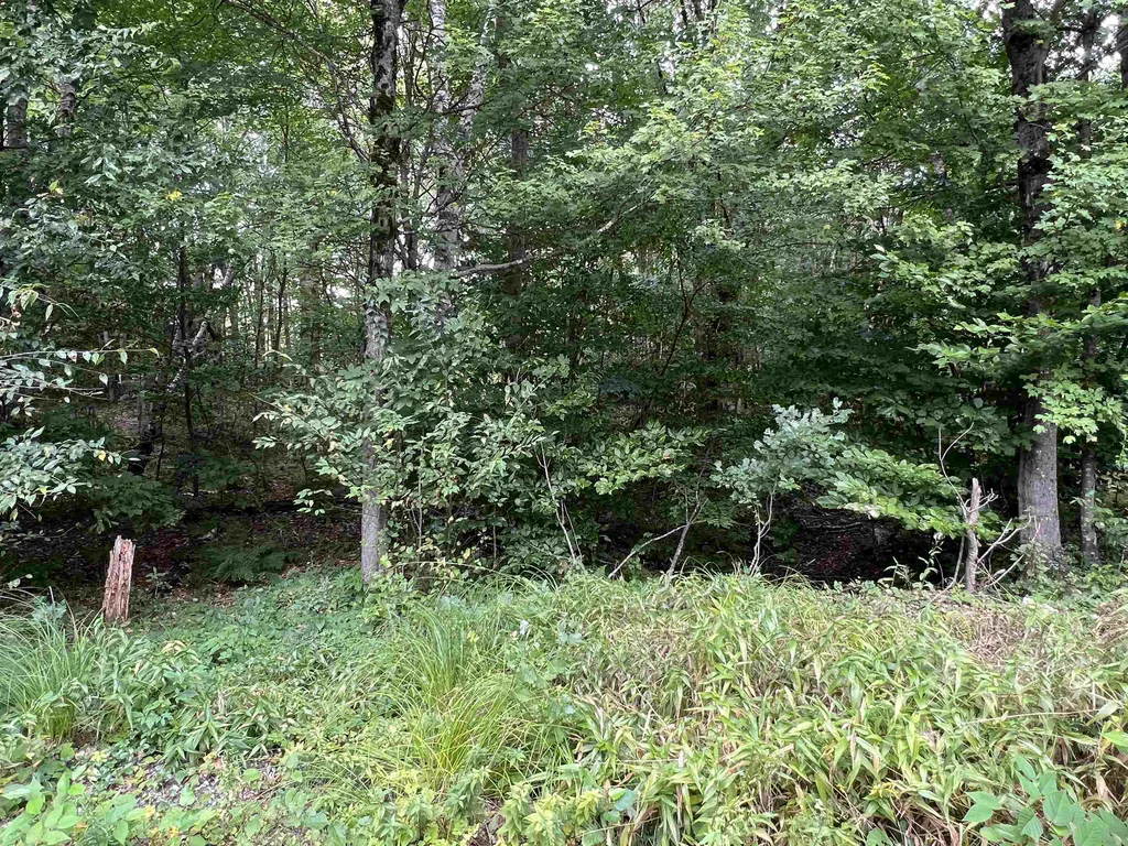 Lot 138 Deer Meadow Road Webster NH 03303