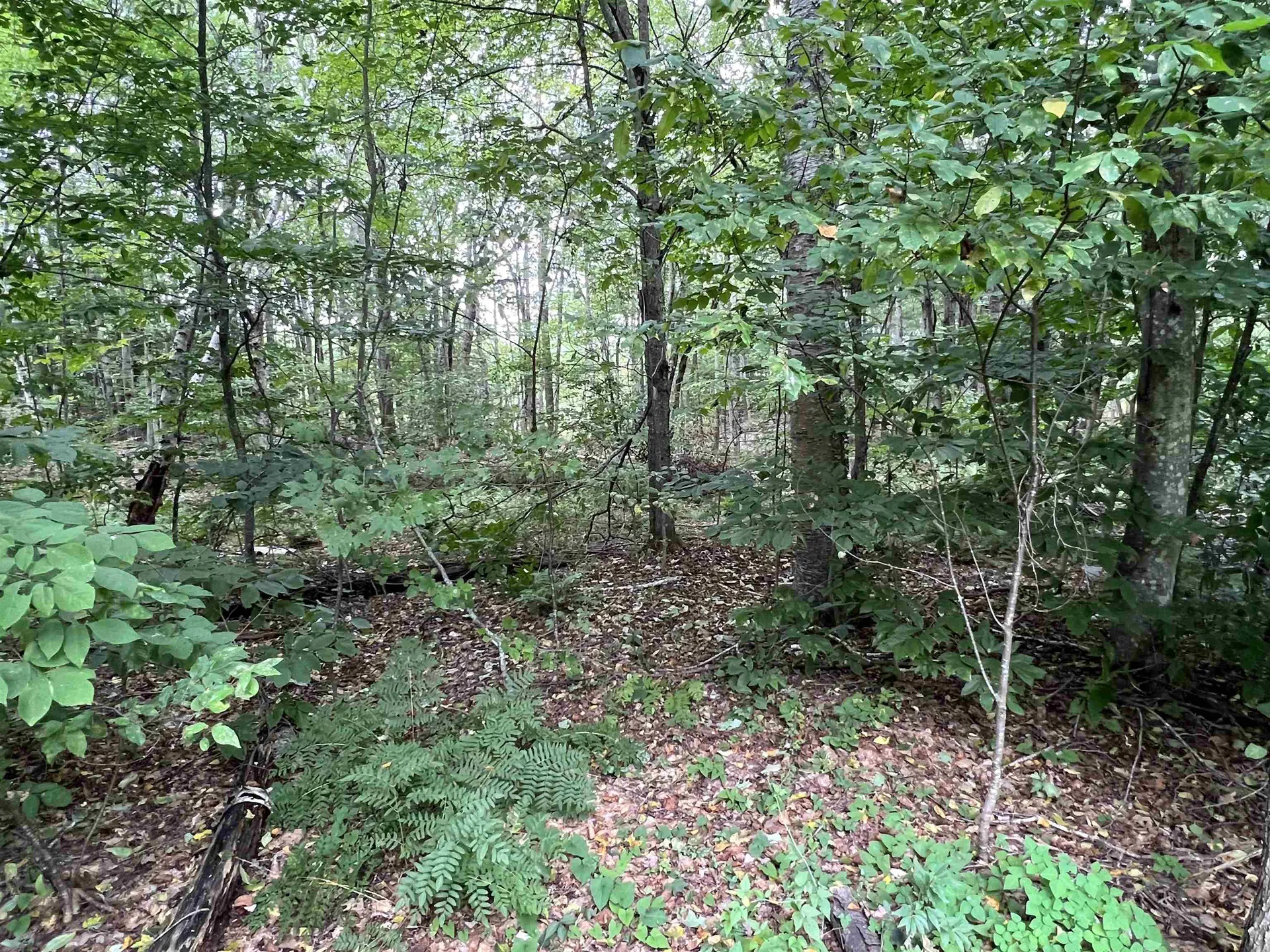 Lot 138 Deer Meadow Road Webster NH 03303
