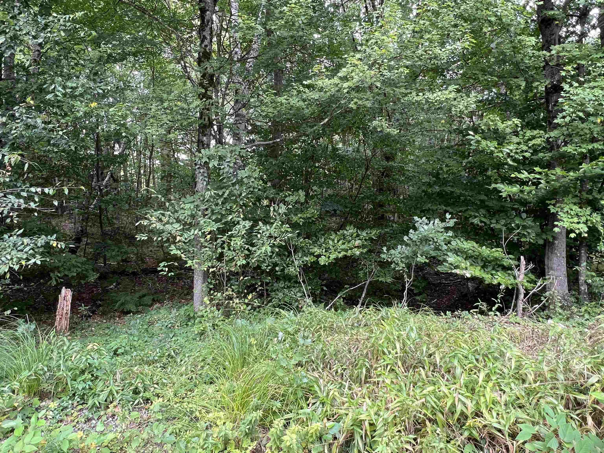 Lot 138 Deer Meadow Road Webster NH 03303