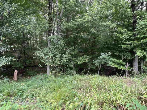 Lot 138 Deer Meadow Road Webster NH 03303