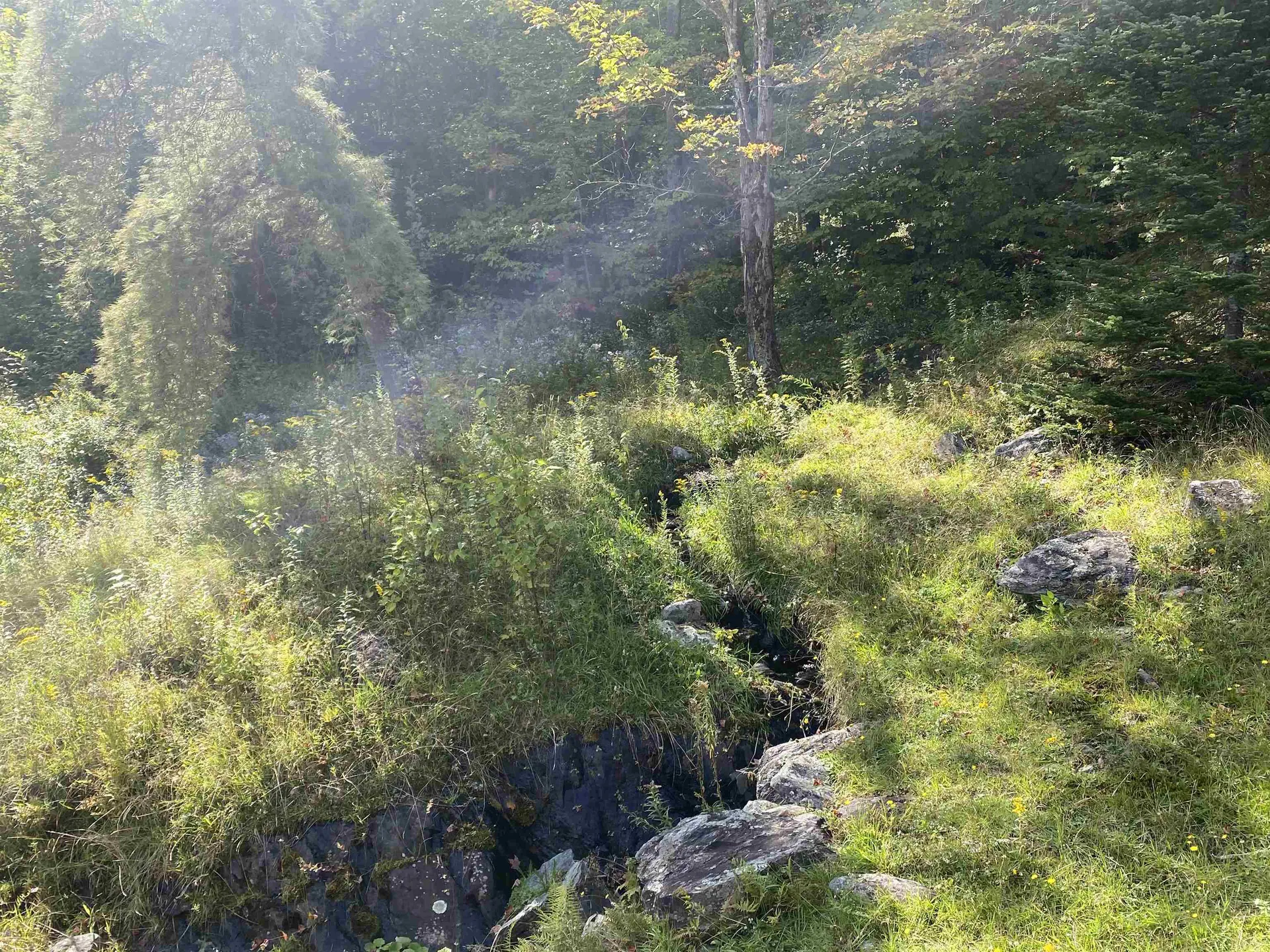 6275 Garfield Road Hyde Park VT 05655